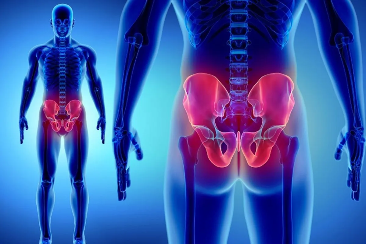 Congestione pelvica e fegato - approccio osteopatico viscerale